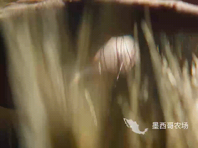 大品连策|品牌定位新趋势,从“听我说”到“为你而说”(图8) 大品连策|品牌定位新趋势,从“听我说”到“为你而说”(图8)