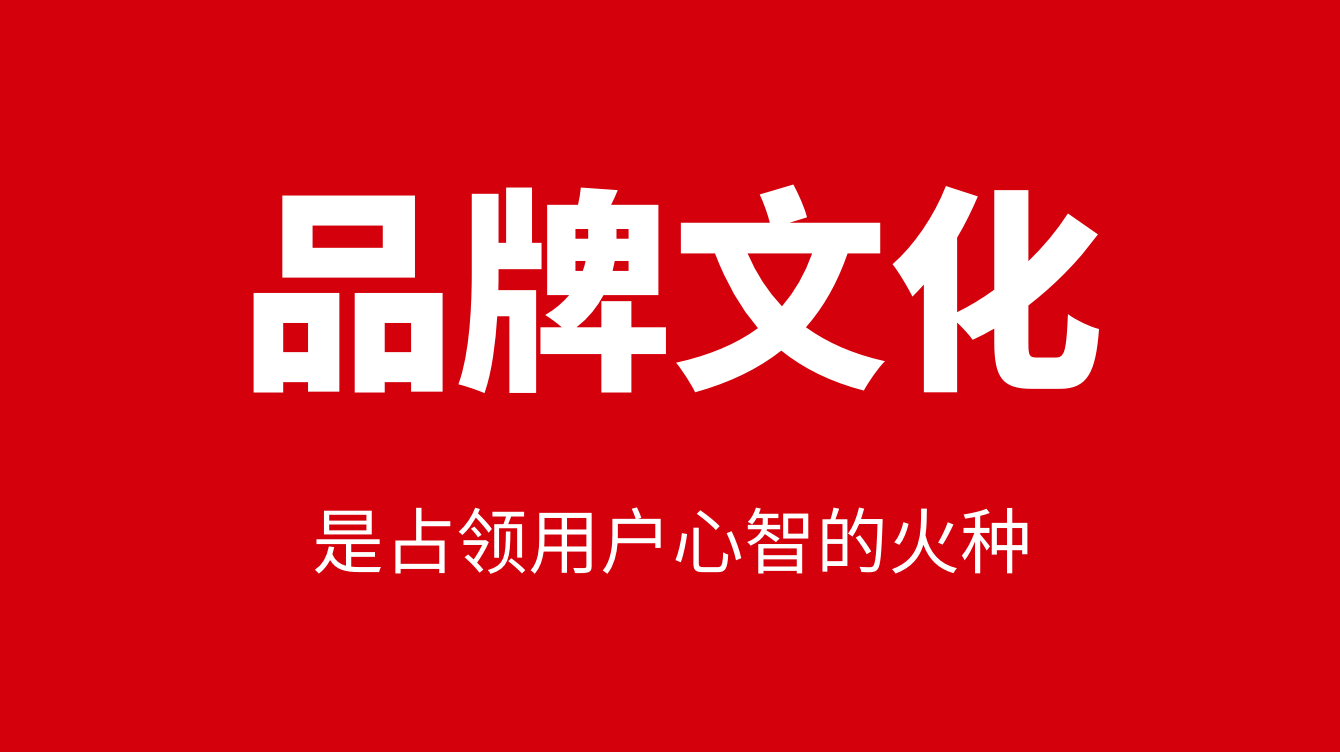 大品连策 | 品牌文化是占领用户心智的火种(图7) 大品连策 | 品牌文化是占领用户心智的火种(图7)